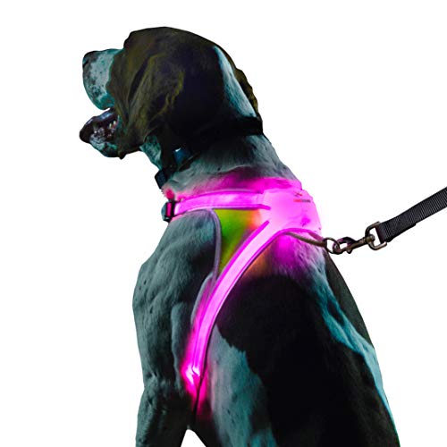Best Light Up Dog Harness