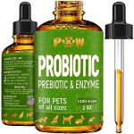 Best Liquid Probiotic for Dogs
