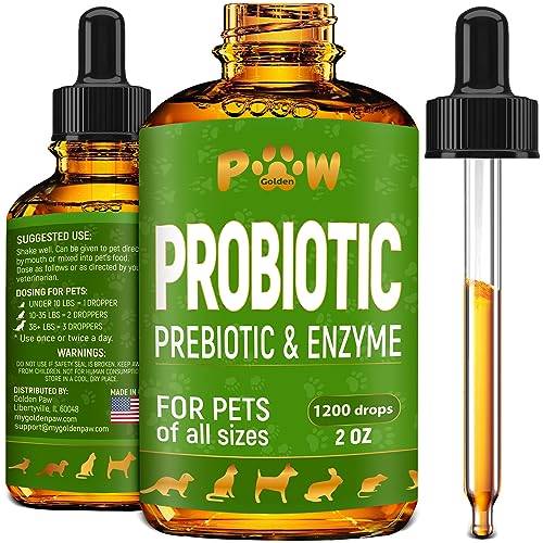 Best Liquid Probiotic for Dogs