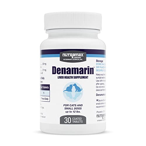 Best Liver Medicine for Dogs