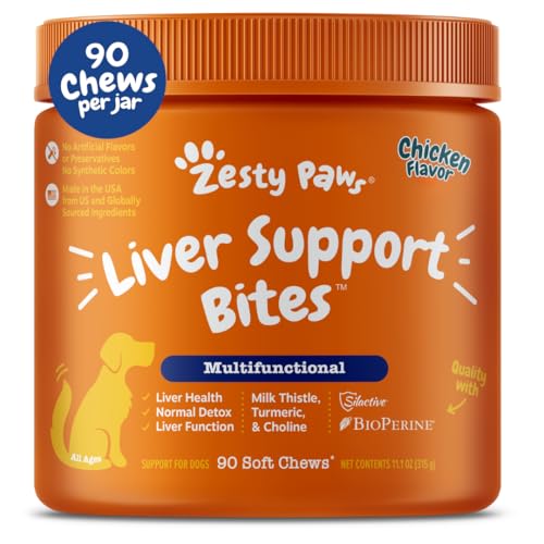 Best Liver Supplements for Dogs
