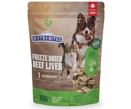 Best Liver Treats for Dogs