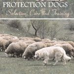 Best Livestock Guardian Dogs for Small Farms