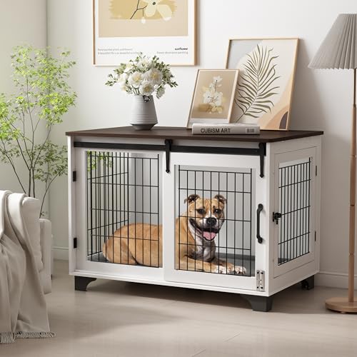 Best Living Room Furniture With Dogs