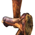 Best Long Lasting Dog Bones