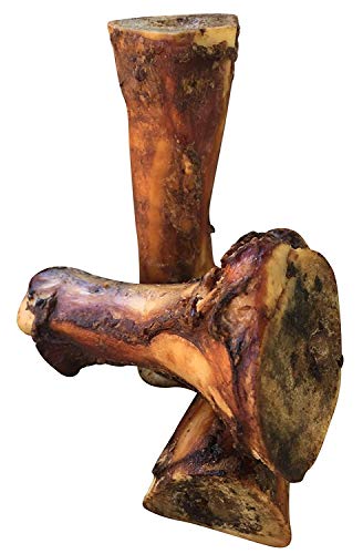Best Long Lasting Dog Bones