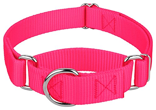 Best Martingale Collar for Dogs