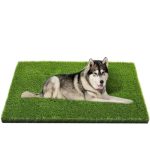 Best Material for Outdoor Dog Potty Area