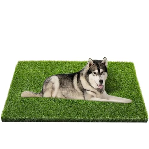 Best Material for Outdoor Dog Potty Area