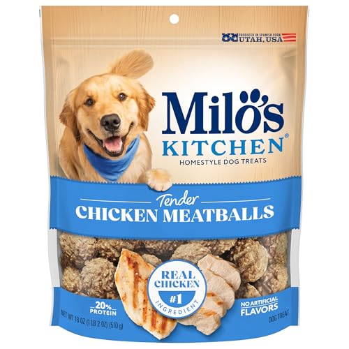 Best Meat to Give Dogs