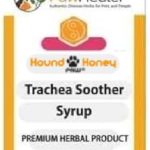 Best Medicine for Collapsed Trachea in Dogs