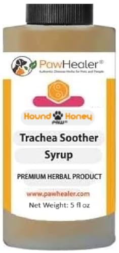 Best Medicine for Collapsed Trachea in Dogs