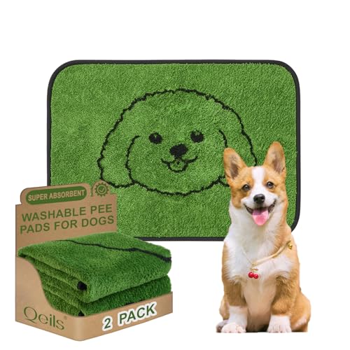 Best Medium Dogs for Apartments