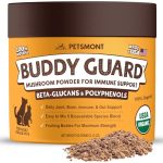 Best Medium Size Guard Dog