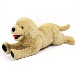 Best Medium Sized Dogs for Kids