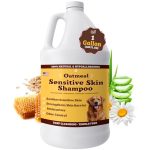 Best Medium Sized Hypoallergenic Dogs