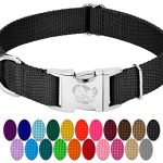 Best Metal Buckle Dog Collar