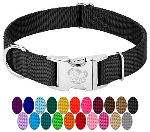 Best Metal Buckle Dog Collar