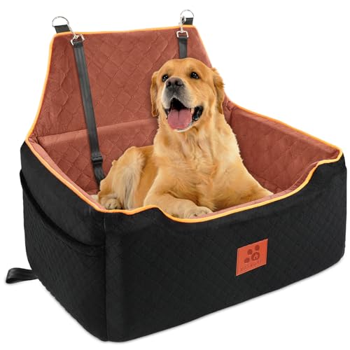 Best Midsize Dog for Seniors