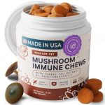 Best Mushroom Supplement for Dogs With Cancer