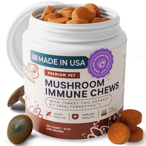 Best Mushroom Supplement for Dogs With Cancer