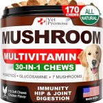 Best Mushroom Supplements for Dogs