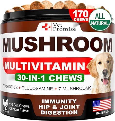 Best Mushroom Supplements for Dogs