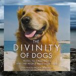 Best Music to Soothe Dogs