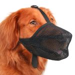 Best Muzzle for Dogs That Eat Everything