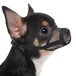 Best Muzzle for Small Dogs