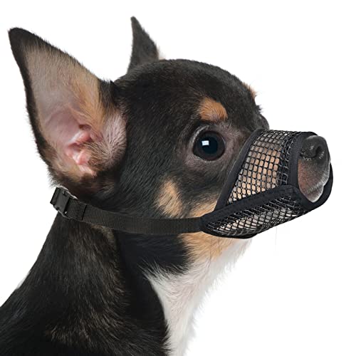 Best Muzzle for Small Dogs