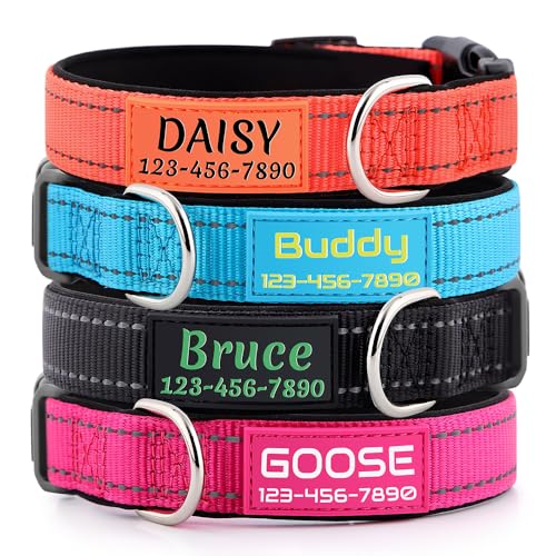 Best Names for Boy Dogs
