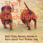 Best Names for Wiener Dogs