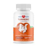 Best Natural Anti Inflammatory for Dogs