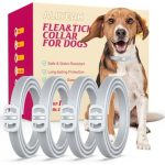Best Natural Flea And Tick Collar for Dogs