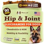 Best Natural Joint Supplement for Dogs