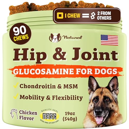 Best Natural Joint Supplement for Dogs