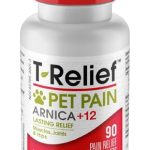 Best Natural Pain Relief for Dogs