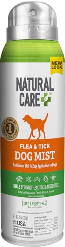 Best Natural Remedy for Fleas on Dogs