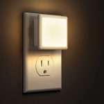 Best Night Light for Dogs