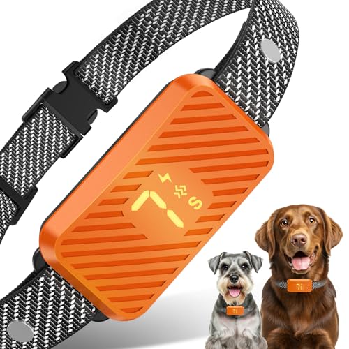 Best No Bark Collar for Small Dogs