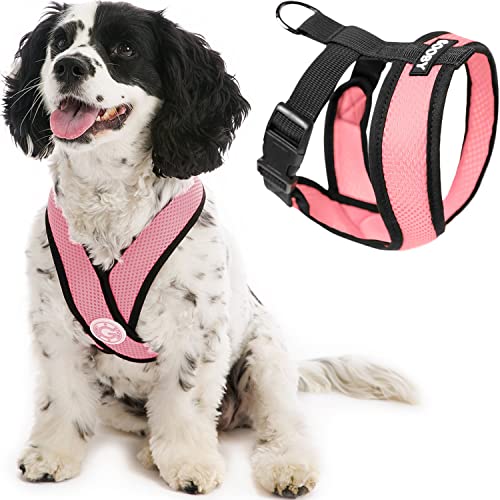 Best No Choke Harness for Small Dogs