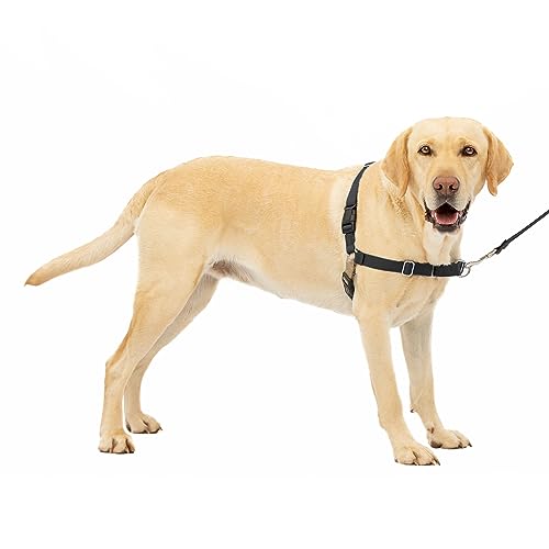 Best No-Pull Dog Harness