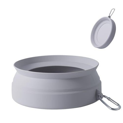 Best No Spill Dog Water Bowl for Road Trips