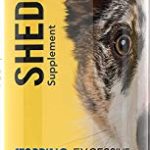 Best Non Shedding Family Dog