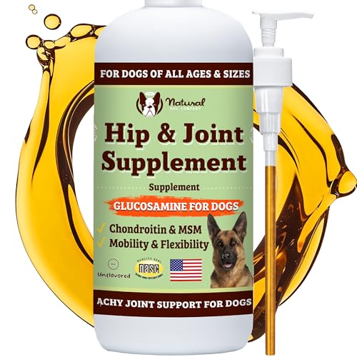 Best Oil for Dogs Joints