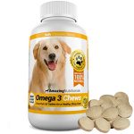Best Omega 3 Chews for Dogs