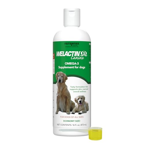 Best Omega-3 for Dogs Vet Recommended