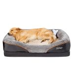 Best Orthopedic Beds for Senior Dogs
