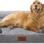 Best Orthopedic Dog Beds for Senior Dogs